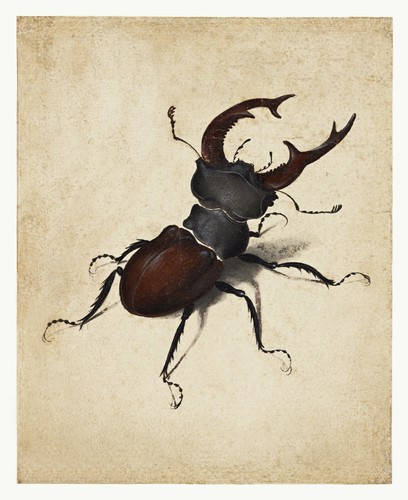 Poster decor design parete - decor.design,