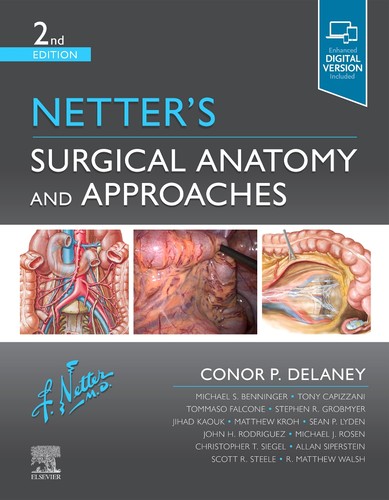 Netter surgical anatomy and - netter's,