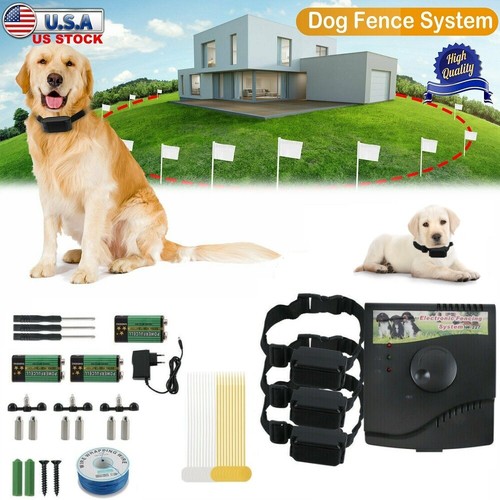 Radio penna per cani - penna,