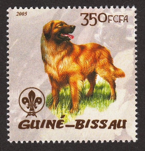 Leonberger francobollo - leonberger,