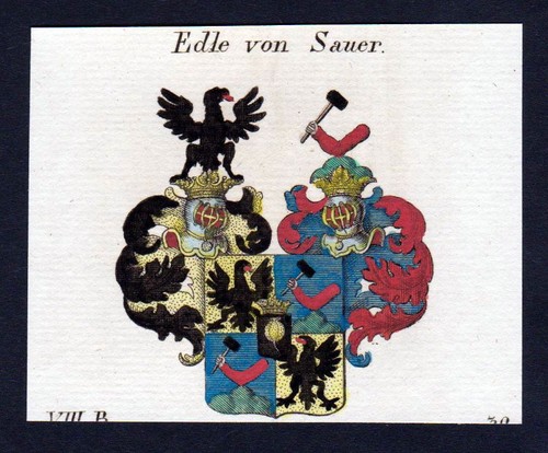 1820 stemma nobiliare sauer - stemma,