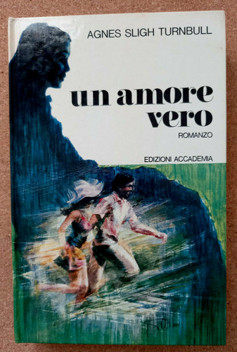 Libro romanzo amore vero - libro,