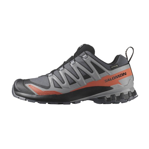 Salomon pro gore tex - xa, v9