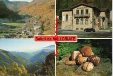 SALUTI DA VALLORIATE FUNGHI BOLETI PANORAMI MUNICIPIO  BONO BORGO SAN DALMAZZO c