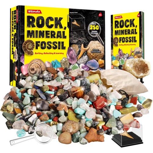 Kit pietre minerali fossili - pietre,