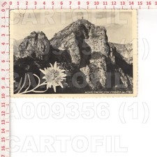 A9356 VICENZA MONTE CIMONE 1951 OSSARIO STELLA ALPINA EDIT FUGA BICEGO GROTTO