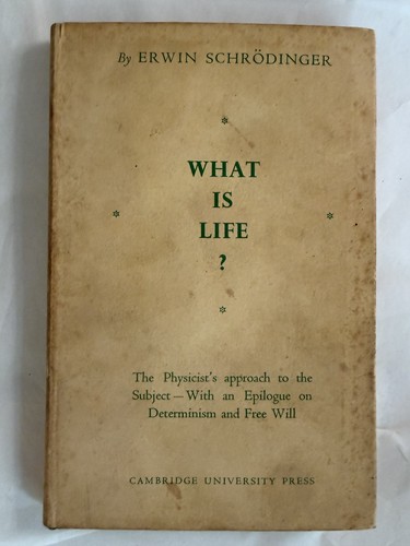 What life erwin - what,