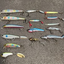 Pesce blu, esca branzino set