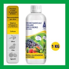 CONCIME RADICALE FOGLIARE A BASE DI BORO ADAMA OLIVO VITE FIORITURA ALLEGAGIONE