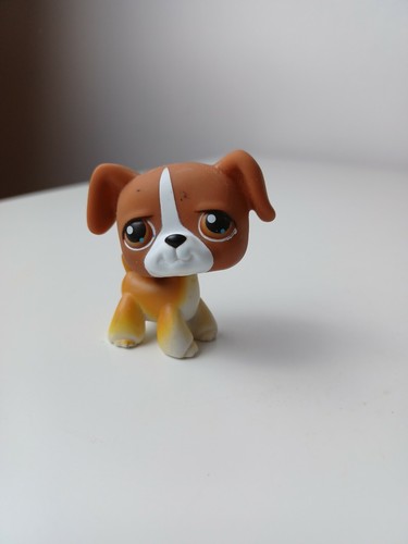 Littlest pet shop boxer - pet,