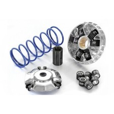 Variatore Variatore Polini