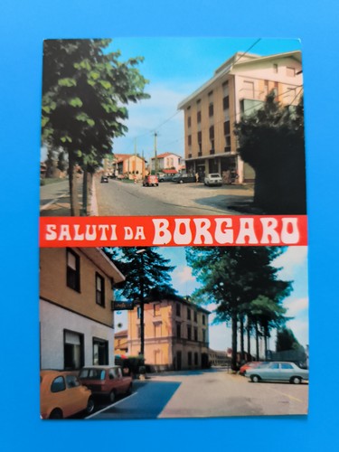 Borgaro torinese viale - borgaro,