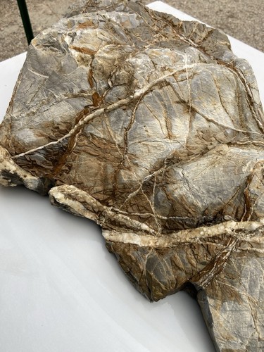 Pietra naturale suiseki