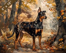 Beauceron dog painting in a