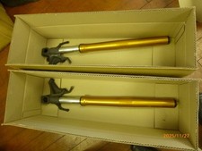 Forcella anteriore invertita