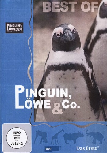 Pinguin löwe und best - und, co.