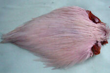 Collo gallo indiano montaggio