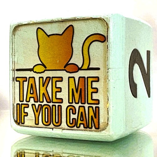 Take you can chase - you,