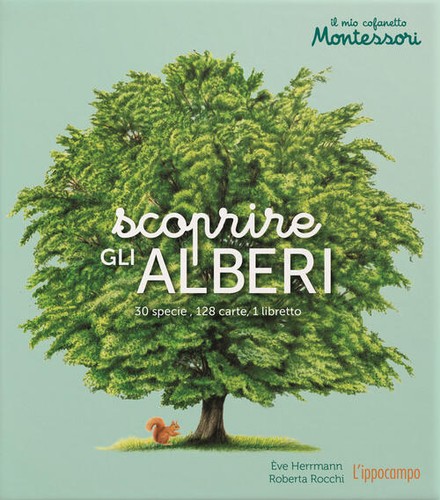Scoprire gli alberi mio - gli,