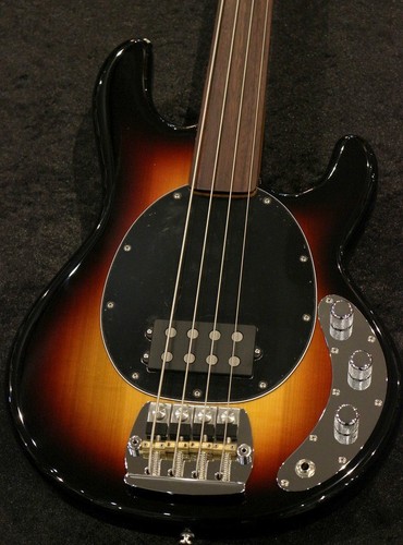 Music man pino palladino - man,