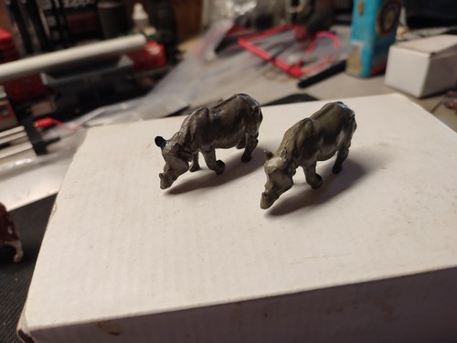 Deux petits rhinoceros - deux,