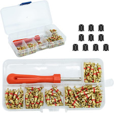 100Pcs Smontaggio Valvola