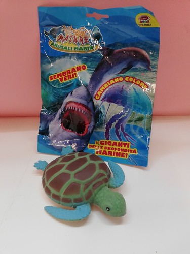 Animali marini tartaruga kidz - animali,