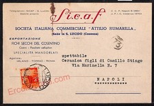 ae5467 - CARTOLINA D'EPOCA - Cosenza Provincia - San Lucido   1947