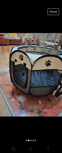 Box gatti cani taglia - cani,