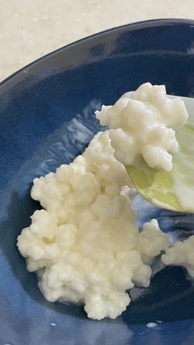 Granuli kefir latte bio - kefir,