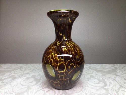 Vaso finestra guscio tartaruga - vaso,