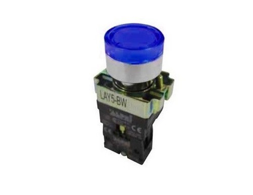Pulsante blu luminoso - pulsante,