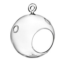 Terrario Bottle Garden Sfera