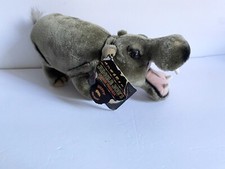 Jungle Joe’s Safari