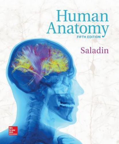 Human anatomy saladin - human,