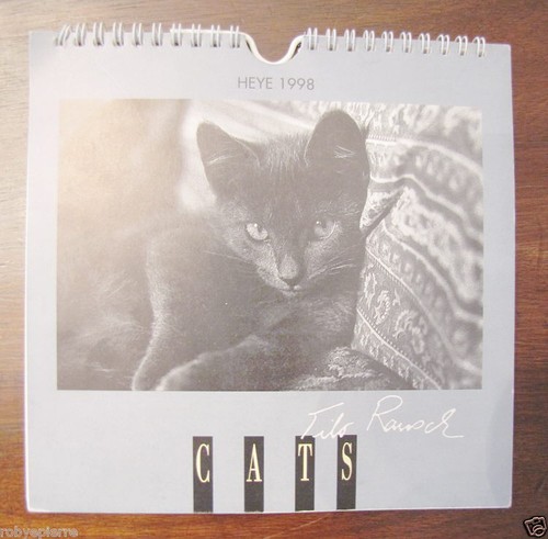 Calendario gatti 1998 - calendario,