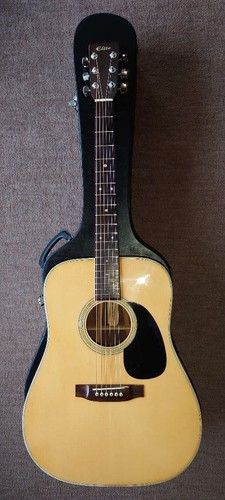 Takamine elite chitarra - tw-30,
