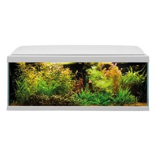 MTB Acquari Milo 100 Acquario