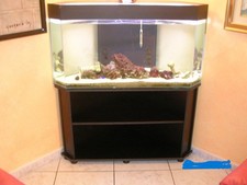 Acquario angolare   80x80 P 70