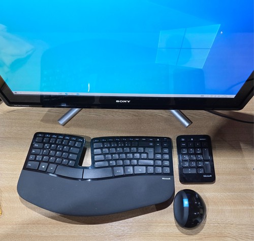 Sony vaio serie all one - l,