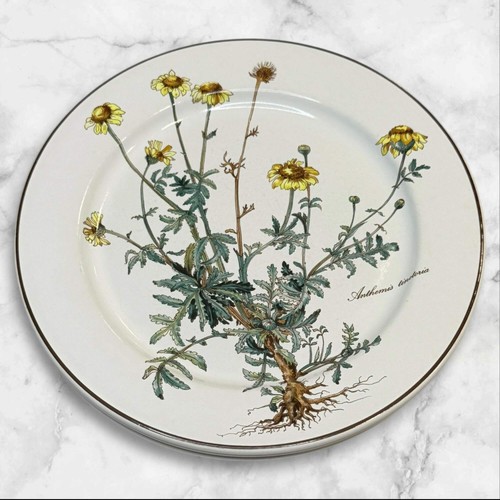 Villeroy boch botanica - villeroy,