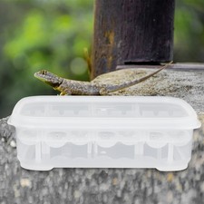 Geco hatching box - hatching, incubatrice