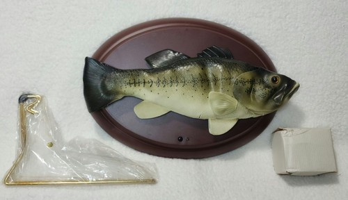 Rara placca parete a - rara, da