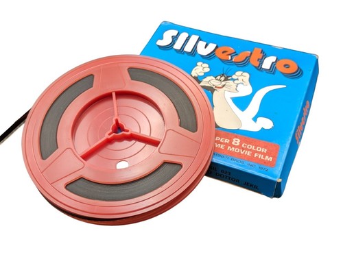 Gatto silvestro - silvestro, "silvestro
