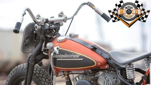 Harley flanders springer - harley,