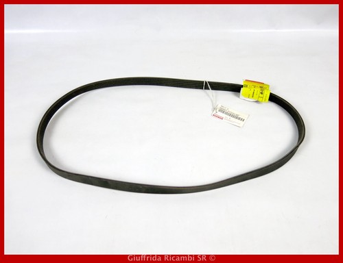 Cinghia servizi poly toyota - servizi,