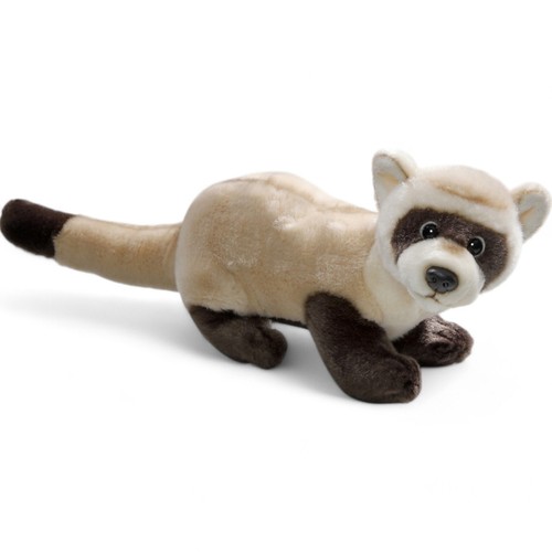 Carl dick furetto animale - carl, furetto,