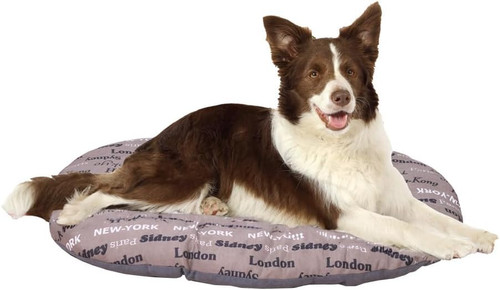 Cuccia per cani gatti - e,
