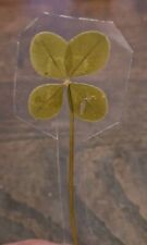 Quadrifoglio 🍀   VERO!