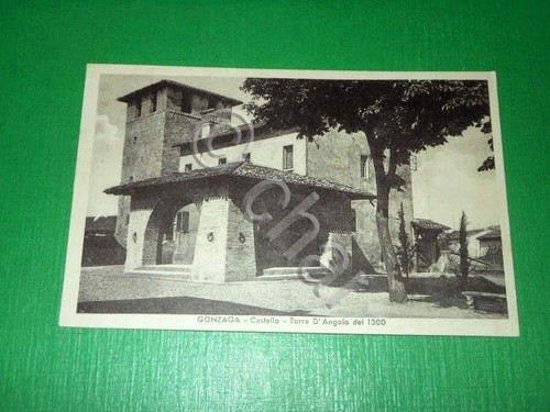 Cartolina gonzaga castello - castello,
